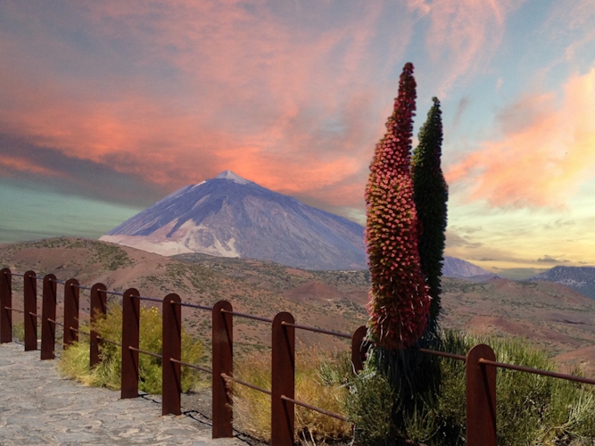 Teide