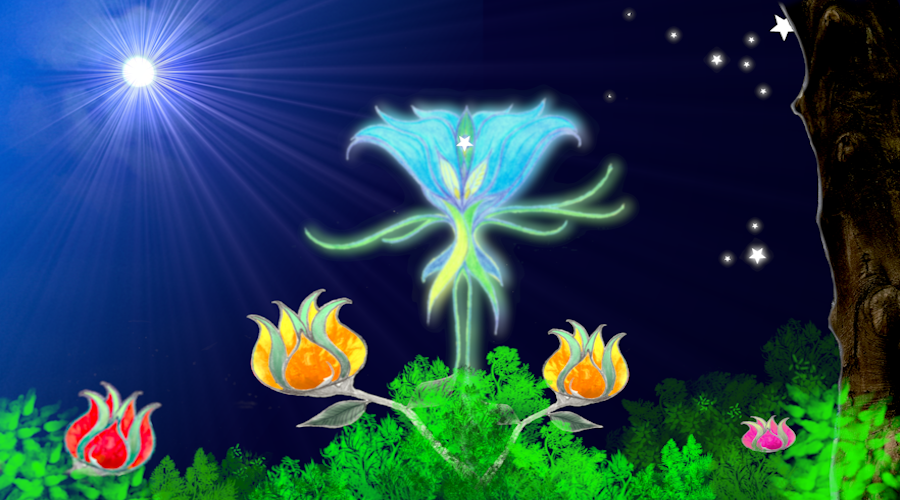 Nachtblüte
