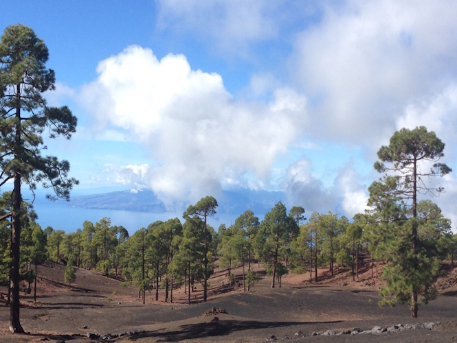 In der Ferne Gomera