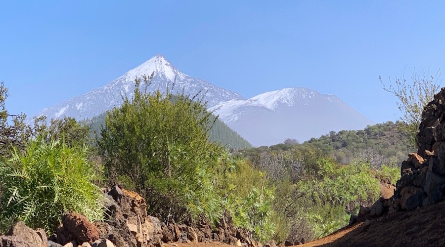 Teide mit Schnee