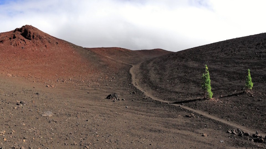 Der Wanderweg vom Montaña Reventada