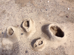 Sand