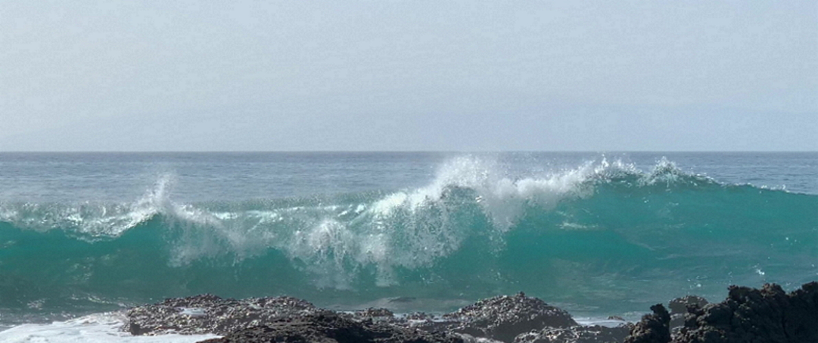 Die Welle