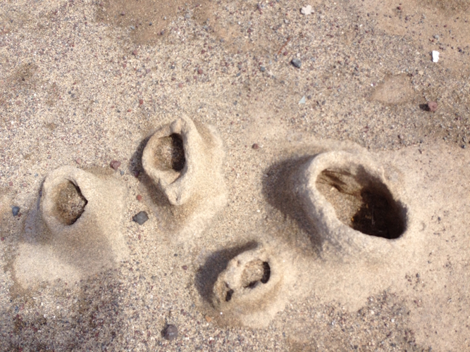 Sand