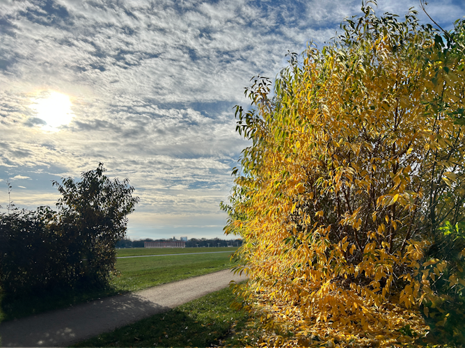 Herbst
