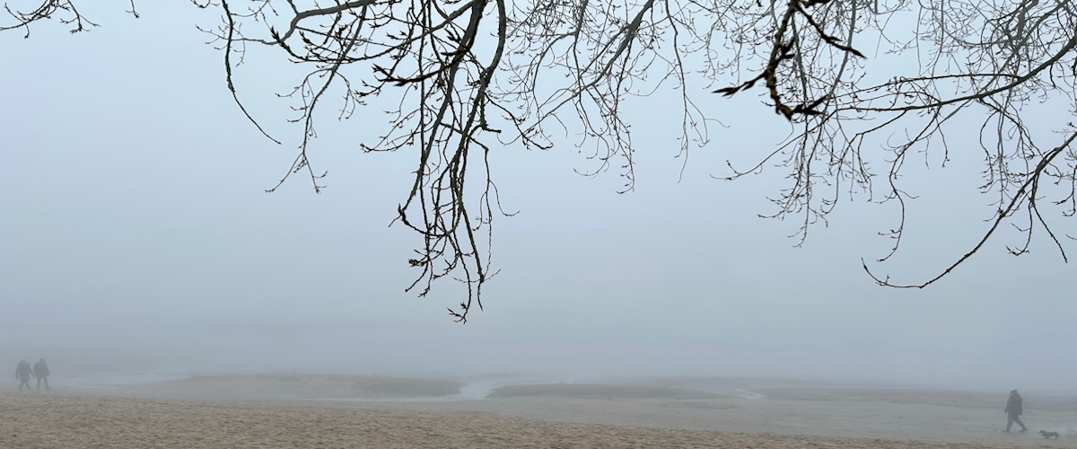 Die Elbe