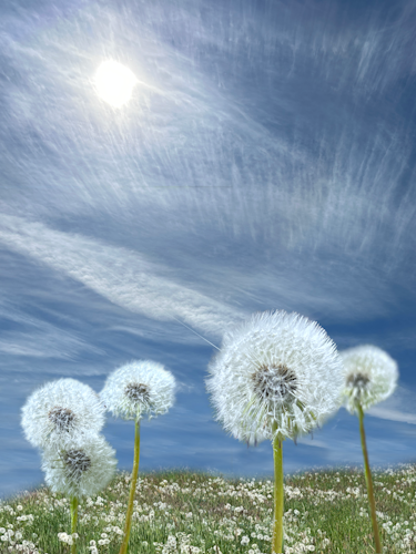 Der Sommer ist da